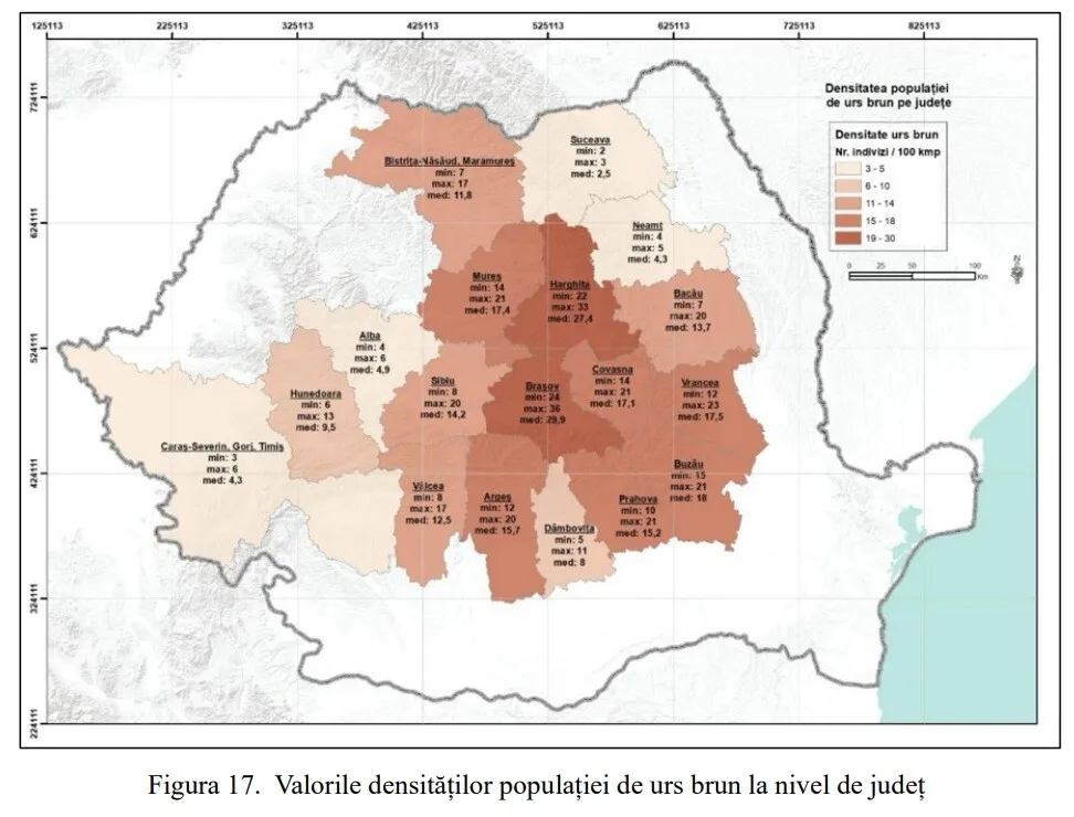 harta ursi harta ursi