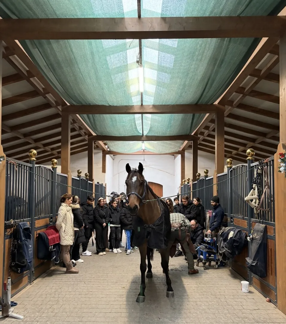 La Vectra, copiii au fost introduși în lumea ecvestră La Vectra, copiii au fost introduși în lumea ecvestră