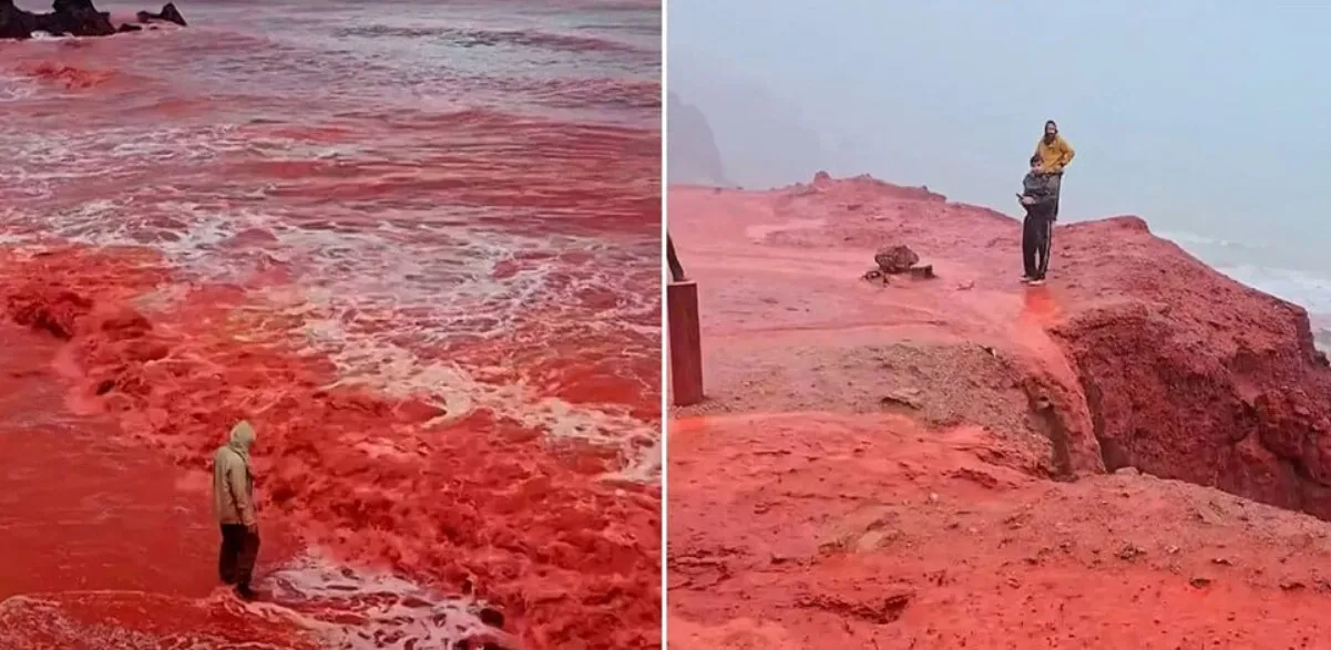 VIDEO 'Ploaia de sânge' care a uimit internetul: Fenomen natural spectaculos pe Insula 'Curcubeu'