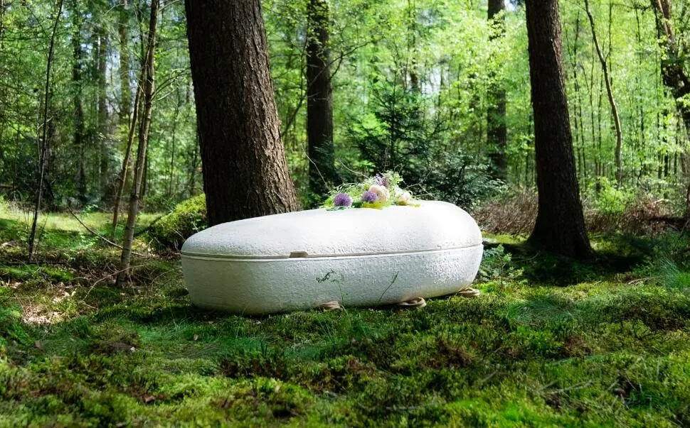 sicriu biodegradabil ciuperci sicriu biodegradabil ciuperci