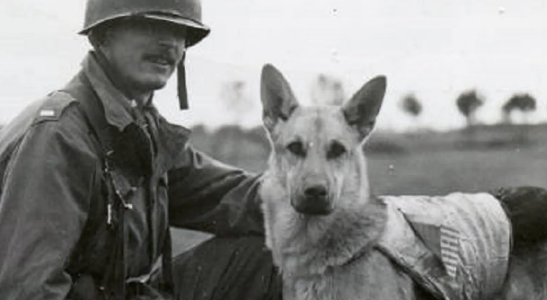 Ce a făcut CIA-ul unui număr de șase câini în cadrul unui proiect de-a dreptul șocant