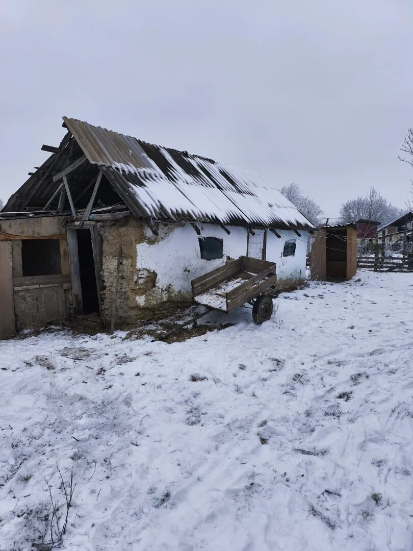 FOTO Percheziții în lanț după ancheta Europol. Adrese fictive, cheia rețelei care obținea documente românești cu acte false