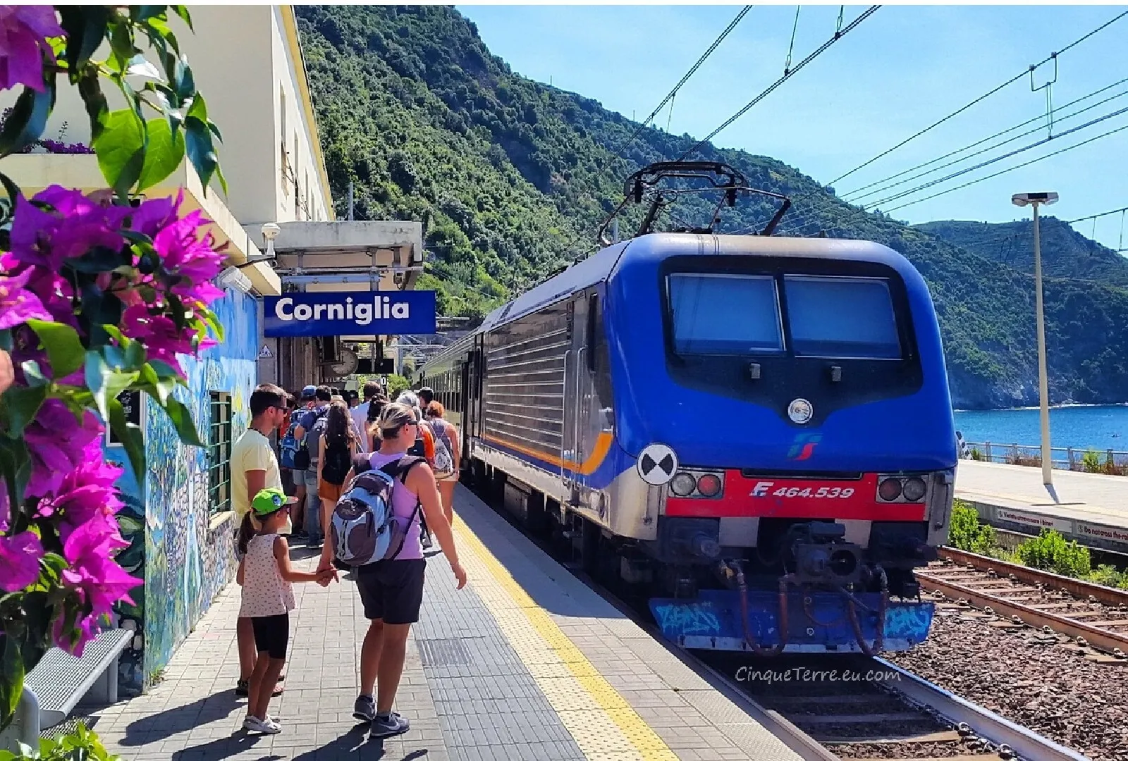 FOTO Cea mai frumoasă călătorie cu trenul din lume costă doar 15 euro. Care este traseul