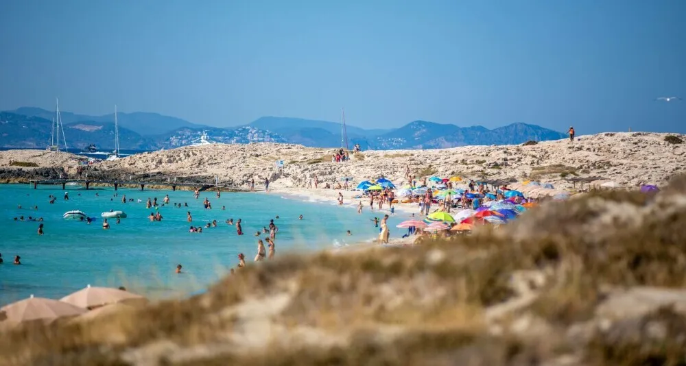 O creatură foarte periculoasă a invadat o destinație preferată de mulți români: mușcătura ei poate transforma concediul într-un coșmar