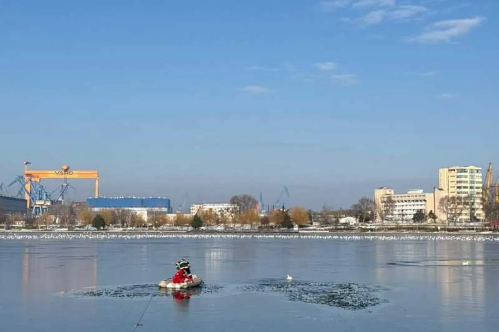 VIDEO Intervenție inedită în Tulcea; O raţă prinsă în gheaţa de pe lacul Ciuperca, salvată de pompieri