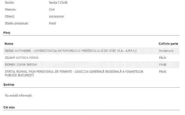 roman instanță roman instanță