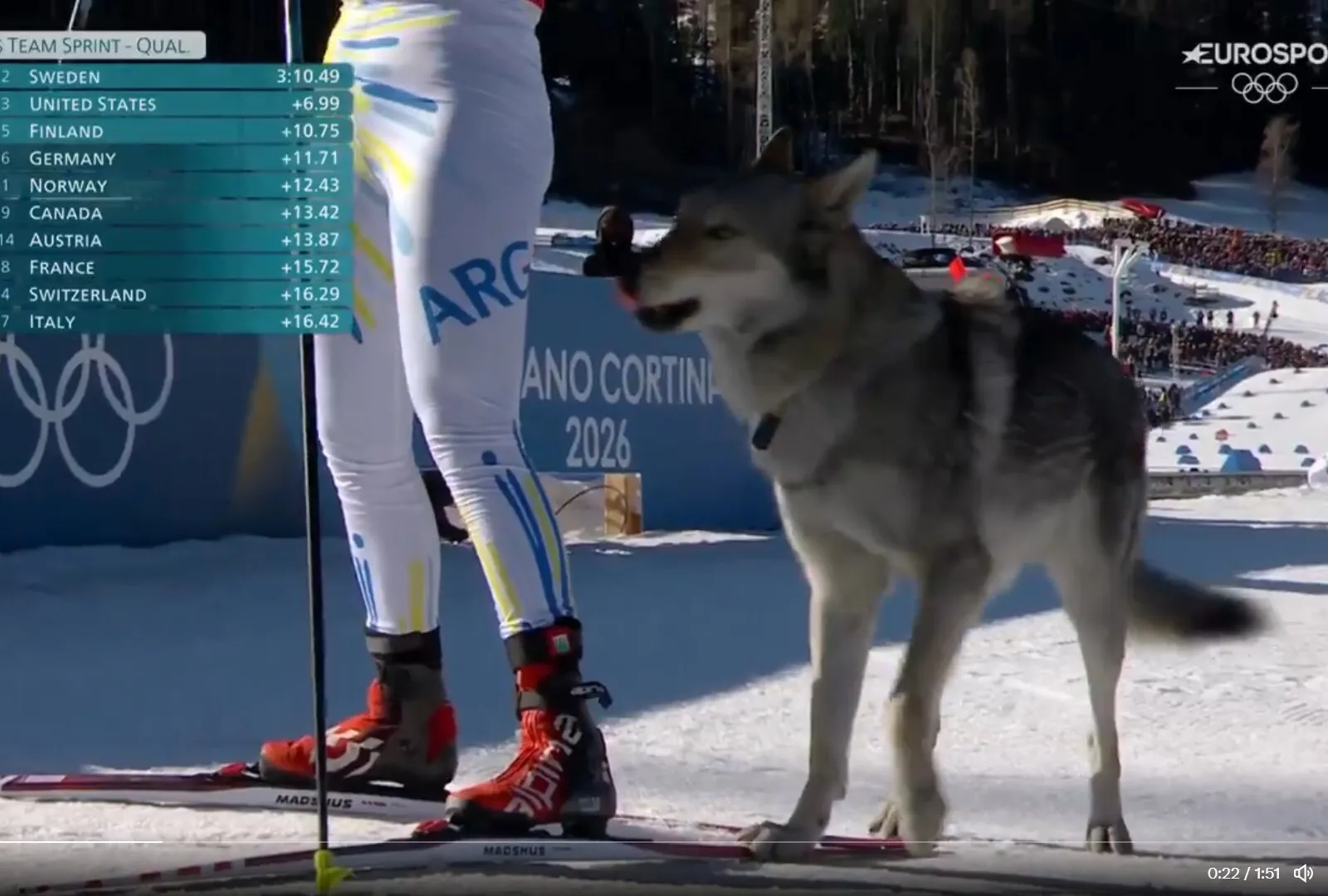 VIDEO Moment neașteptat la JO 2026. Un câine a alergat alături de sportive pe pârtie