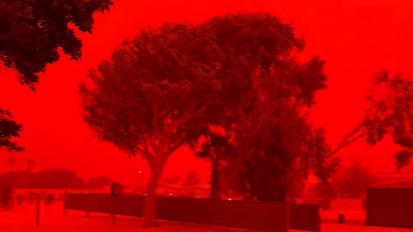 Cerul Australiei s-a colorat într-un roșu aprins, făcând totul să arate ca într-un film despre sfârșitul lumii. Care sunt explicațiile