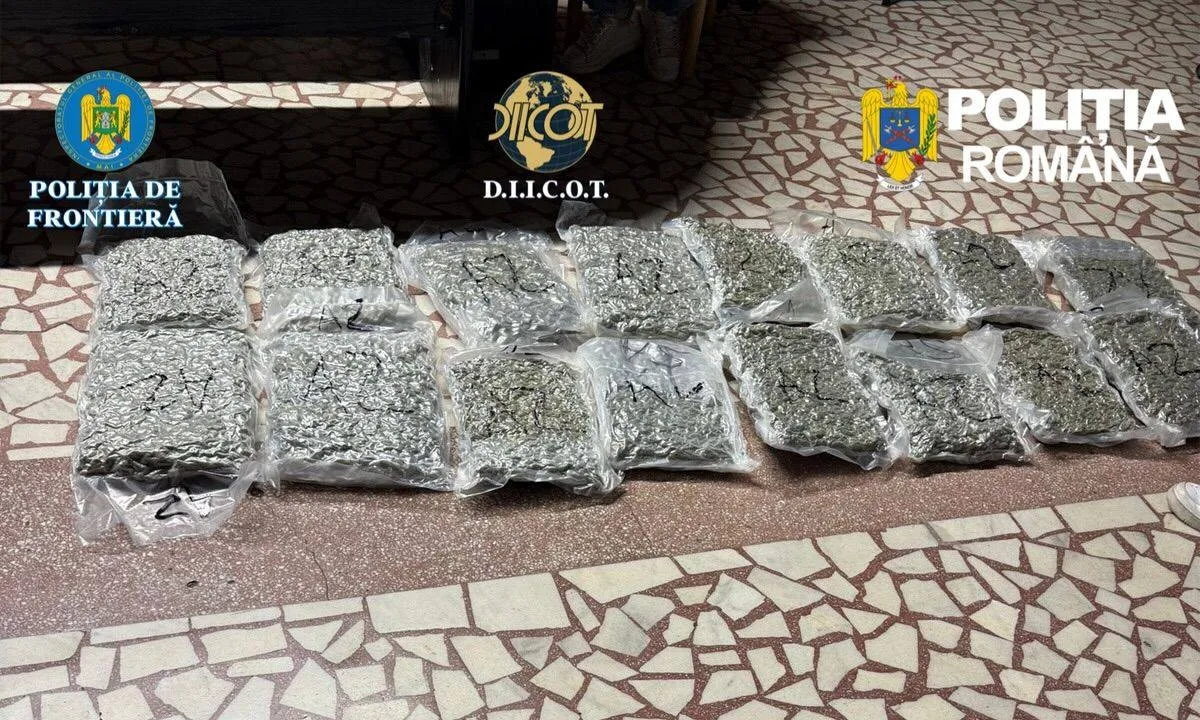 FOTO Captură uriașă de droguri la Vama Nădlac: Un italian a fost prins cu 31 de kilograme de canabis ascunse în trolere