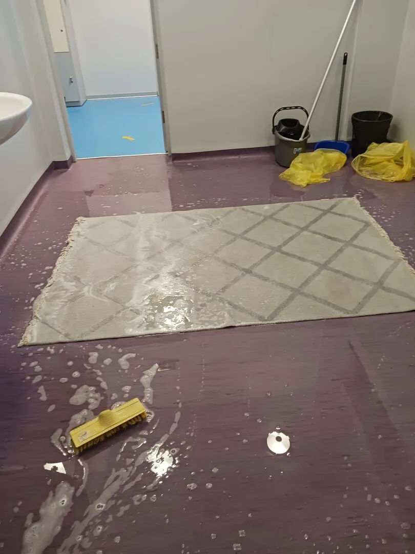 covor spalat in scoala covor spalat in scoala