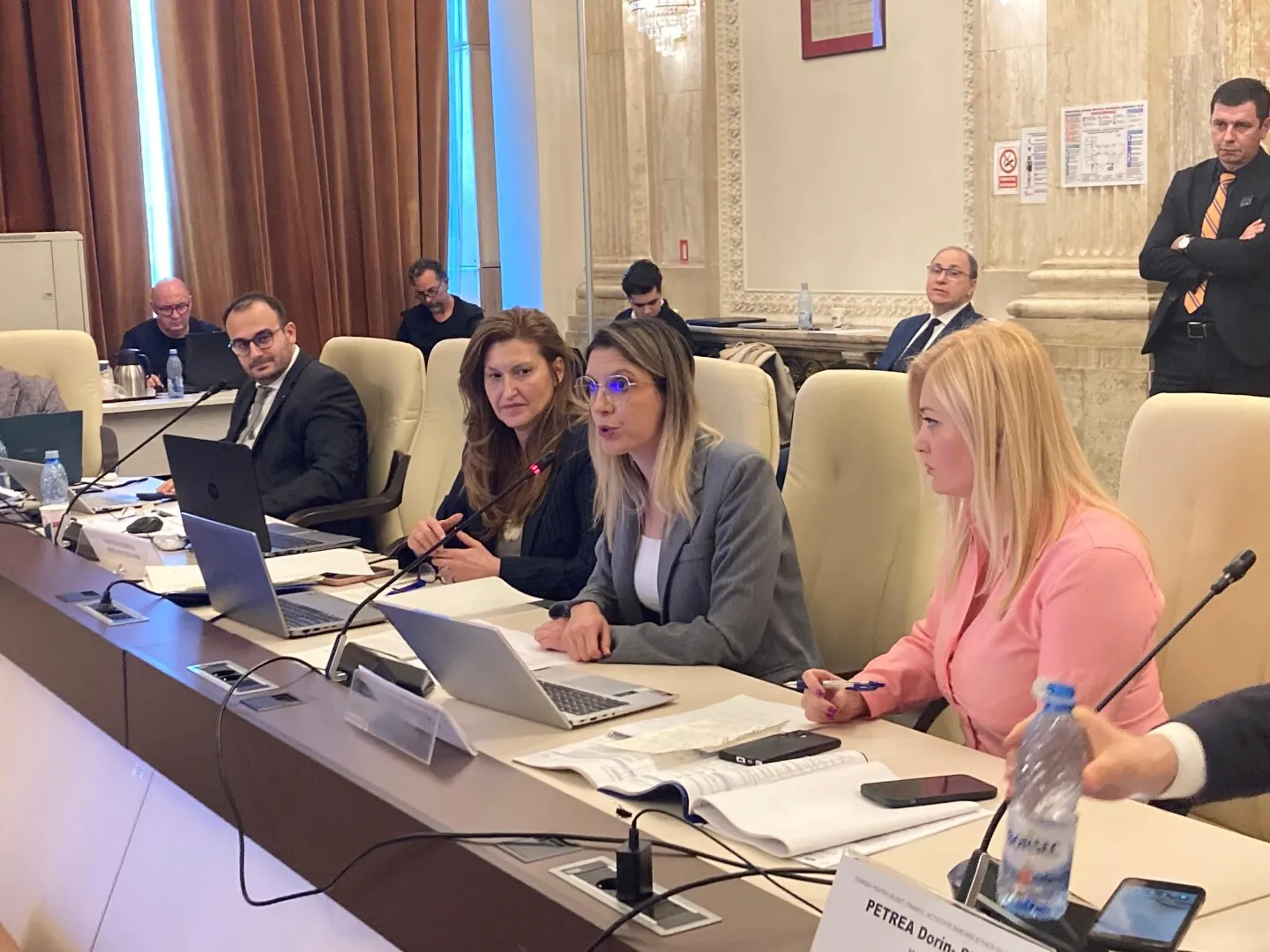 „Nu vă crește bărbăția când țipați” VIDEO - Scandal între Diana Buzoianu și un senator care i-a spus că e „incompetentă”