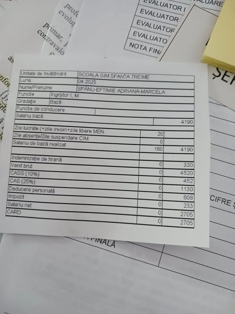 fluturas angajare fictiva la scoala fluturas angajare fictiva la scoala