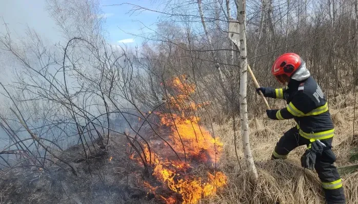 VIDEO Incendiu uriaș în Sibiu – 100 de hectare au ars deja, flăcările amenință pădurea și cabanele