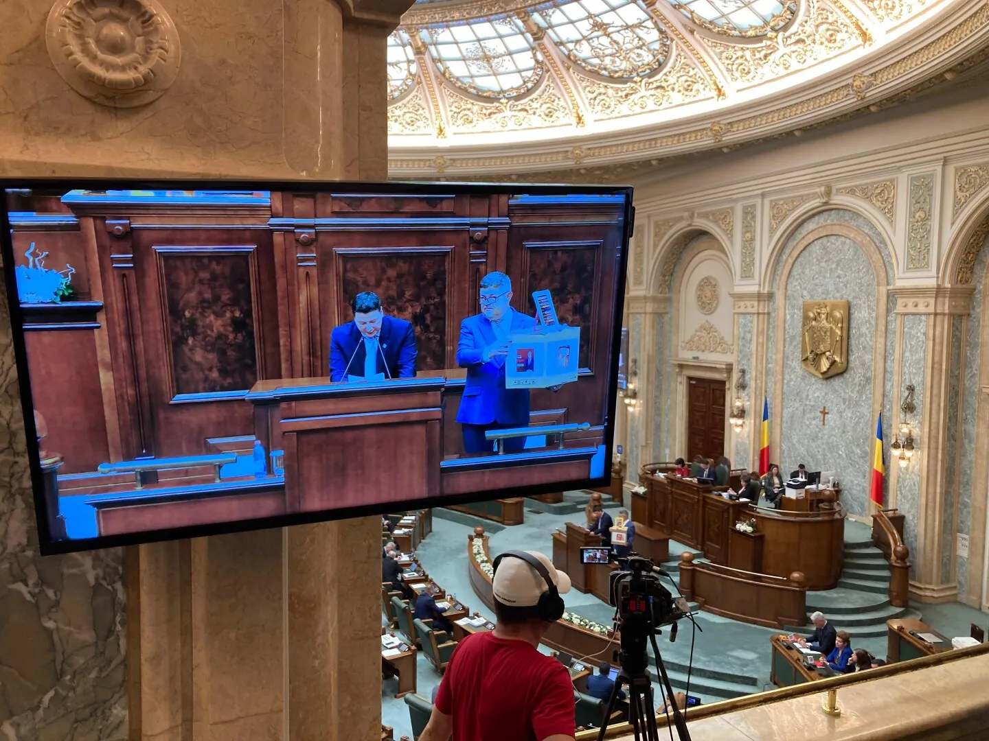 Coaliția a eliminat o „armă” tradițională a opoziției, la Senat: suzetele pentru Pîslaru, îndepărtate pe motiv de „demnitate umană”