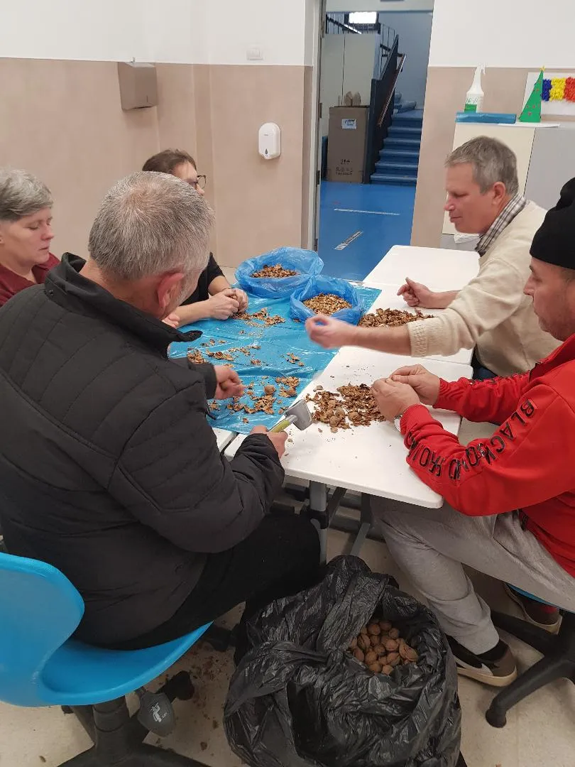 nuci sparte in scoala nuci sparte in scoala