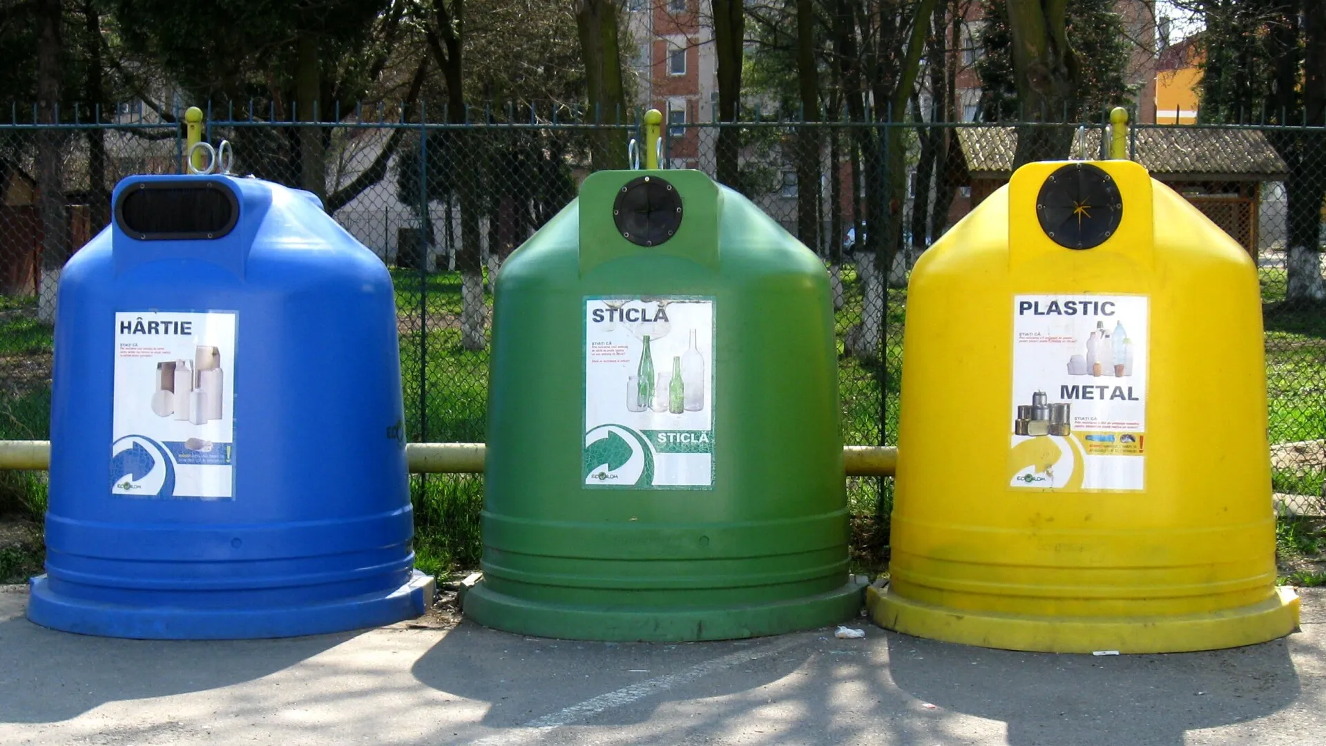 Reciclăm degeaba? Realitatea dezamăgitoare din spatele containerelor colorate pe care nimeni nu vrea să o recunoască