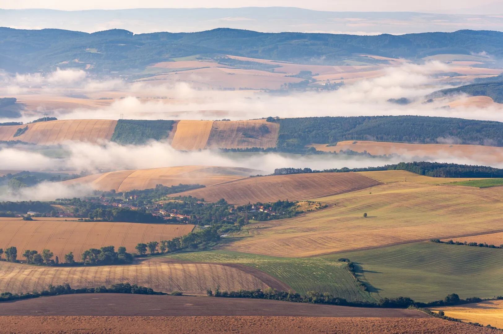 AUR propune lege pentru protejarea pământului românesc: Cumpărarea terenurilor agricole de către străini, limitată la 10 hectare