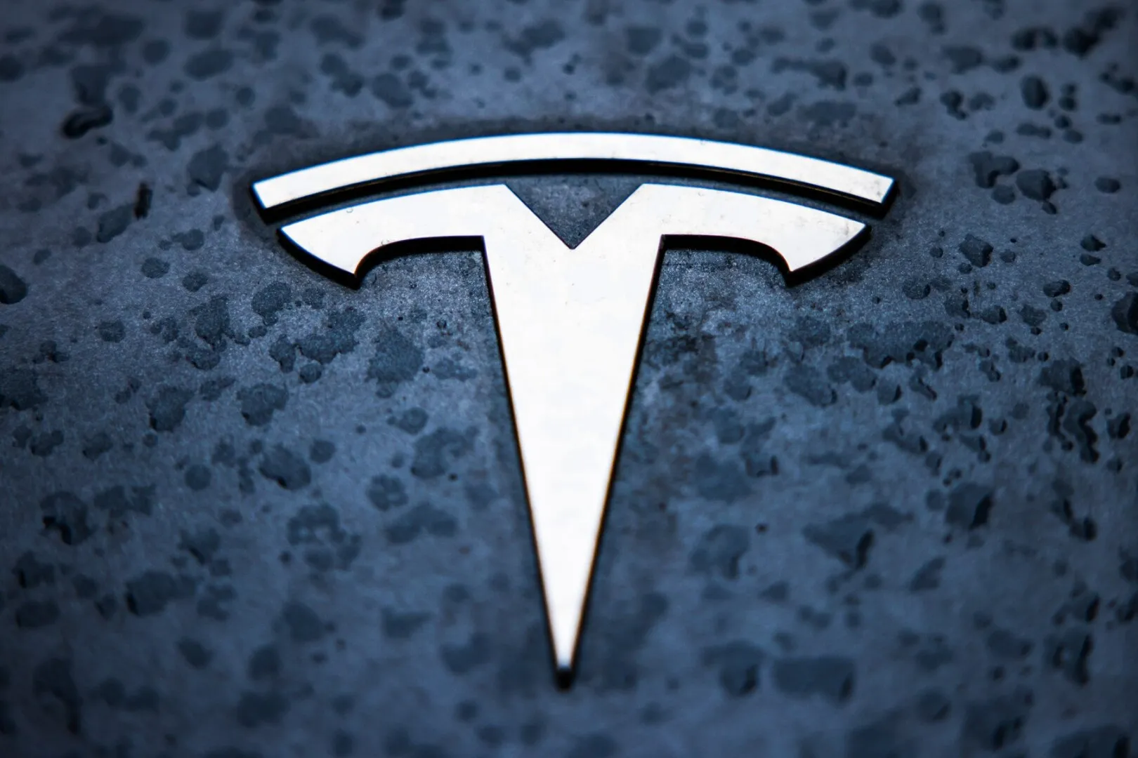 Tesla îşi pregăteşte intrarea pe piaţa stocării de energie din India