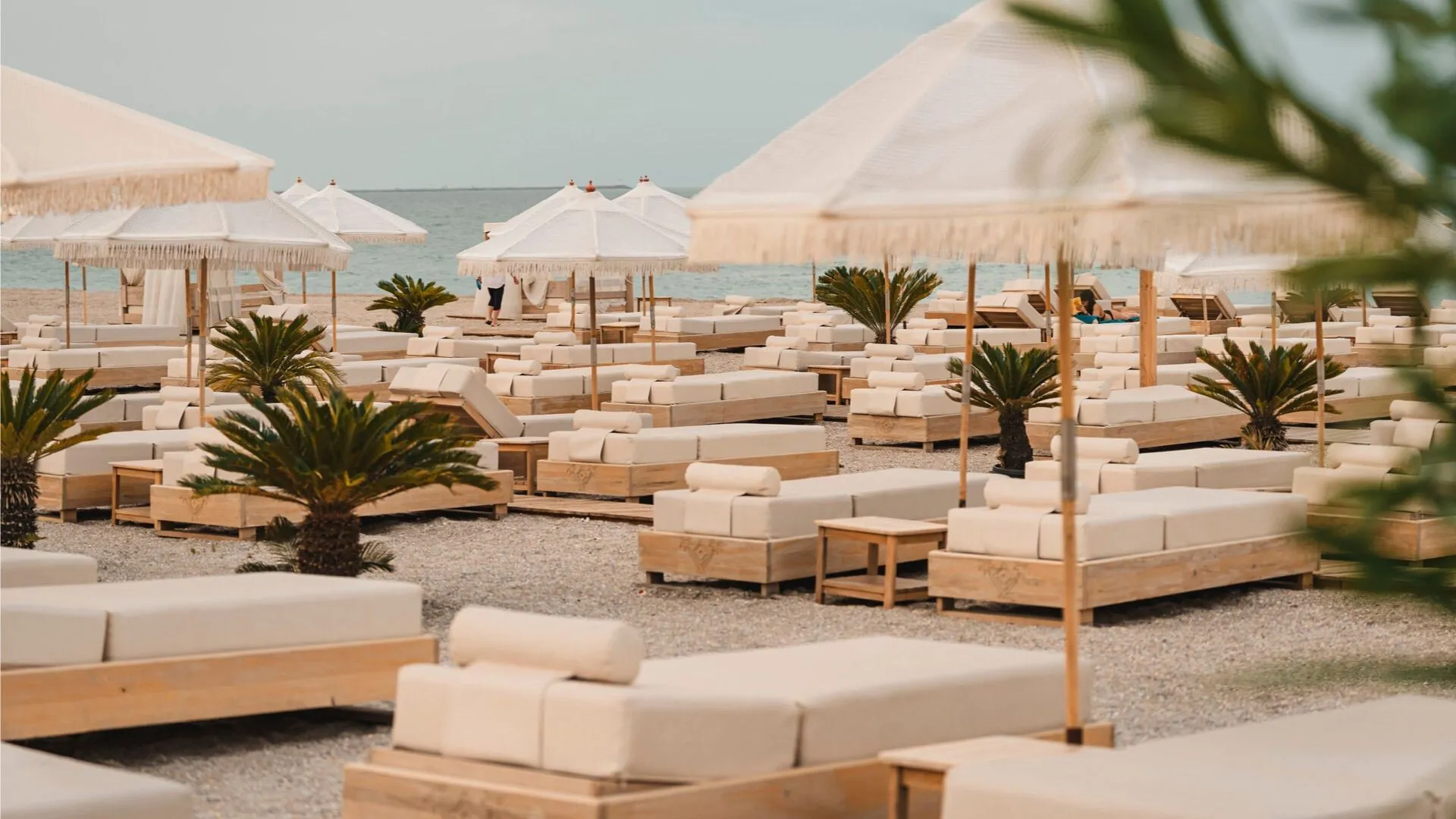 WhatsApp Image 2026-03-31 at 16.39.37 (1) WhatsApp Image 2026-03-31 at 16.39.37 (1)