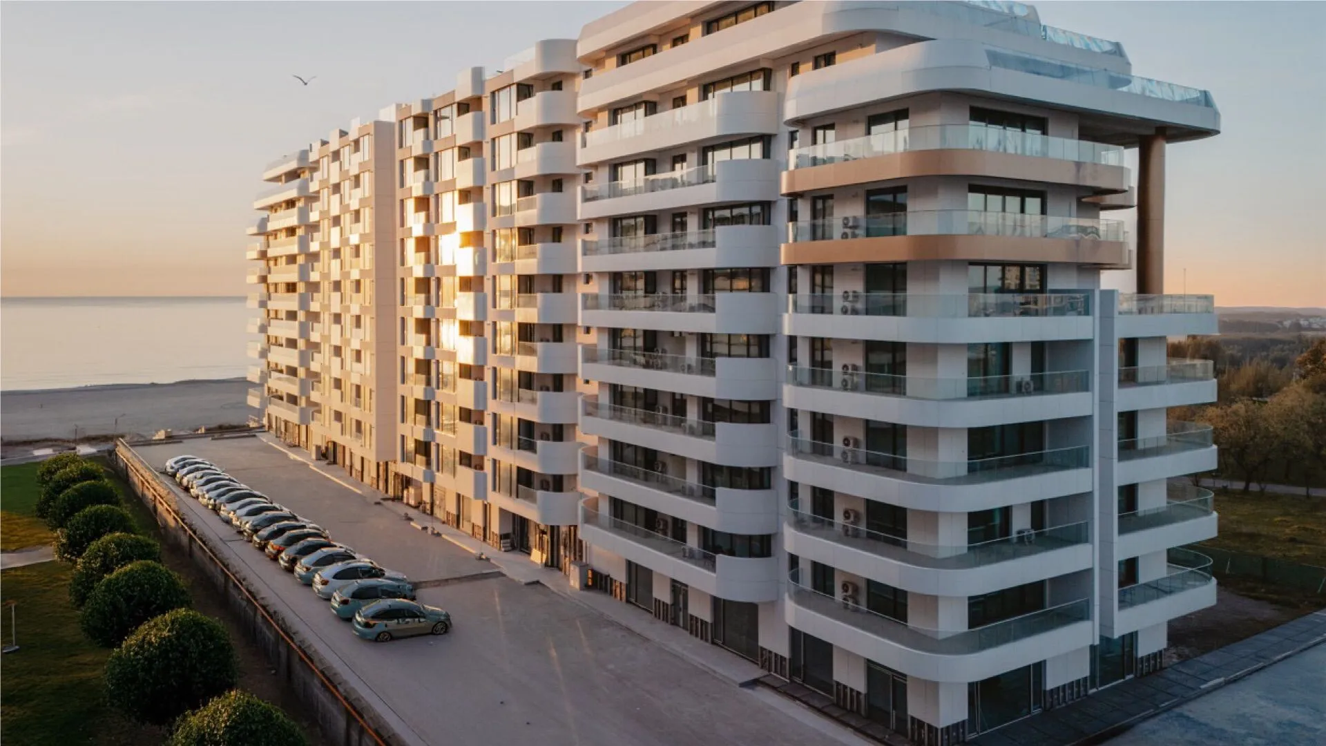 WhatsApp Image 2026-03-31 at 16.39.37 (2) WhatsApp Image 2026-03-31 at 16.39.37 (2)