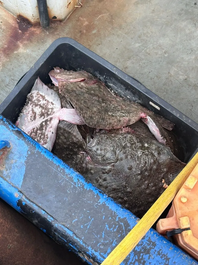 FOTO Operațiune de amploare împotriva pescuitului ilegal: ANPA aplică sancțiuni de peste 100.000 lei și face confiscări