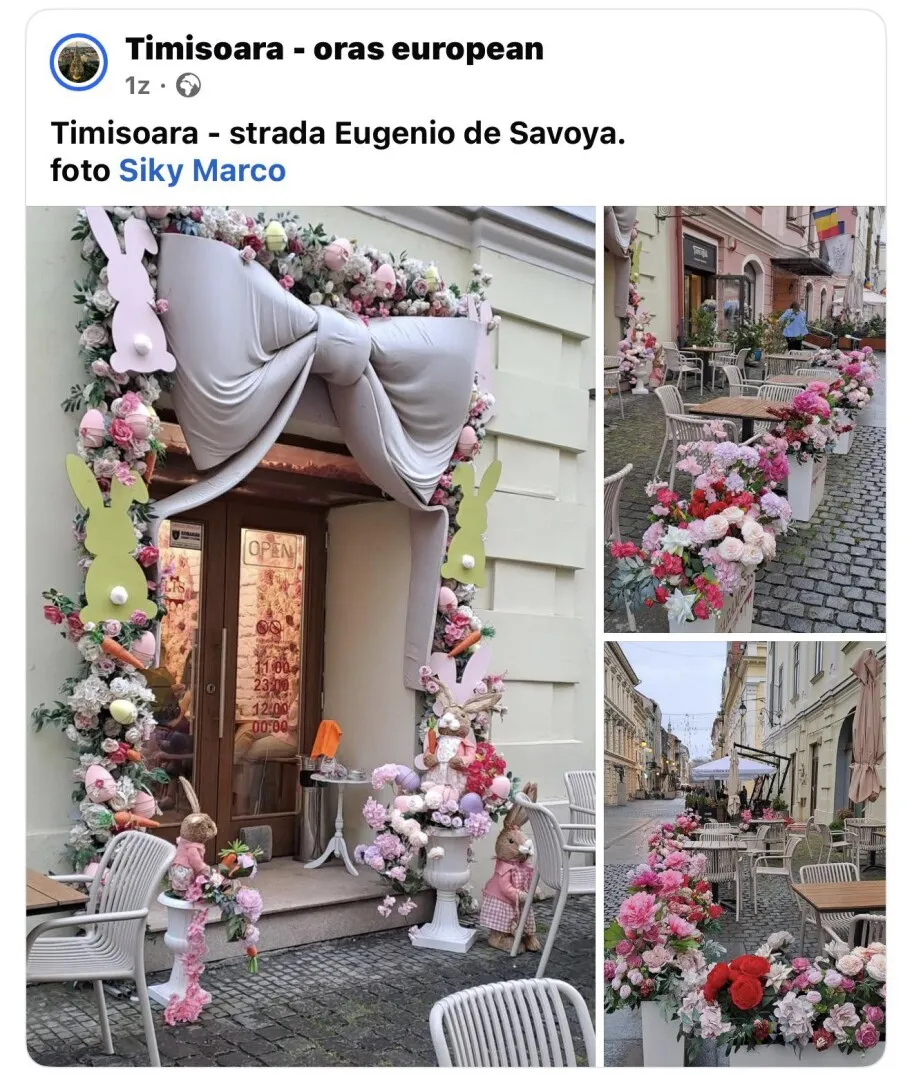 Absurdistan în Timișoara: Cafenea amendată că are flori artificiale, iepure din iarbă artificială, plătit din bani publici, la Târgul de Paște