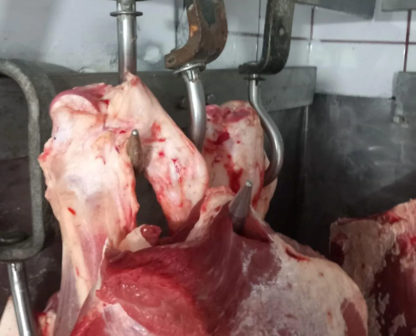 FOTO Carne de miel ținută în condiții insalubre: ANPC a descoperit nereguli grave în toată țara și a aplicat amenzi uriașe comercianților