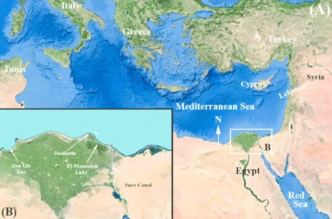În largul Egiptului a fost descoperită o comoară uriașă: Ar putea scoate țara din criza profundă în care intrase
