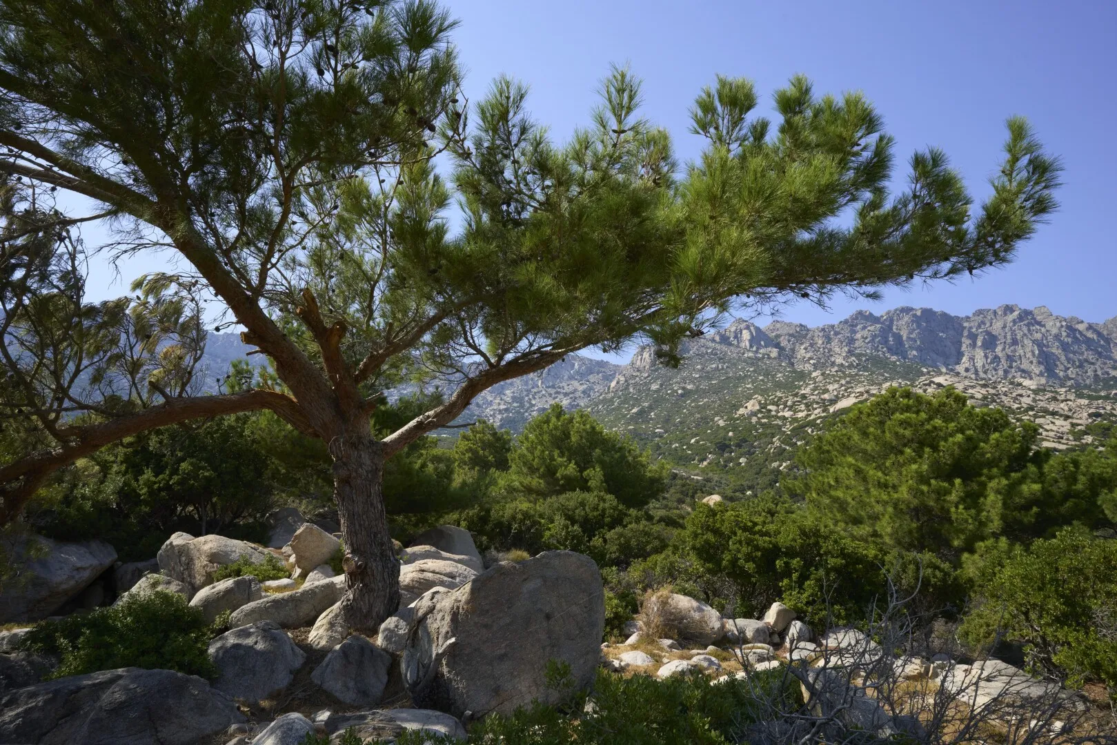 Insula apropiată de România, unde oamenii trăiesc cel mai mult: Majoritatea depășesc 90 de ani. Care este secretul longevității?