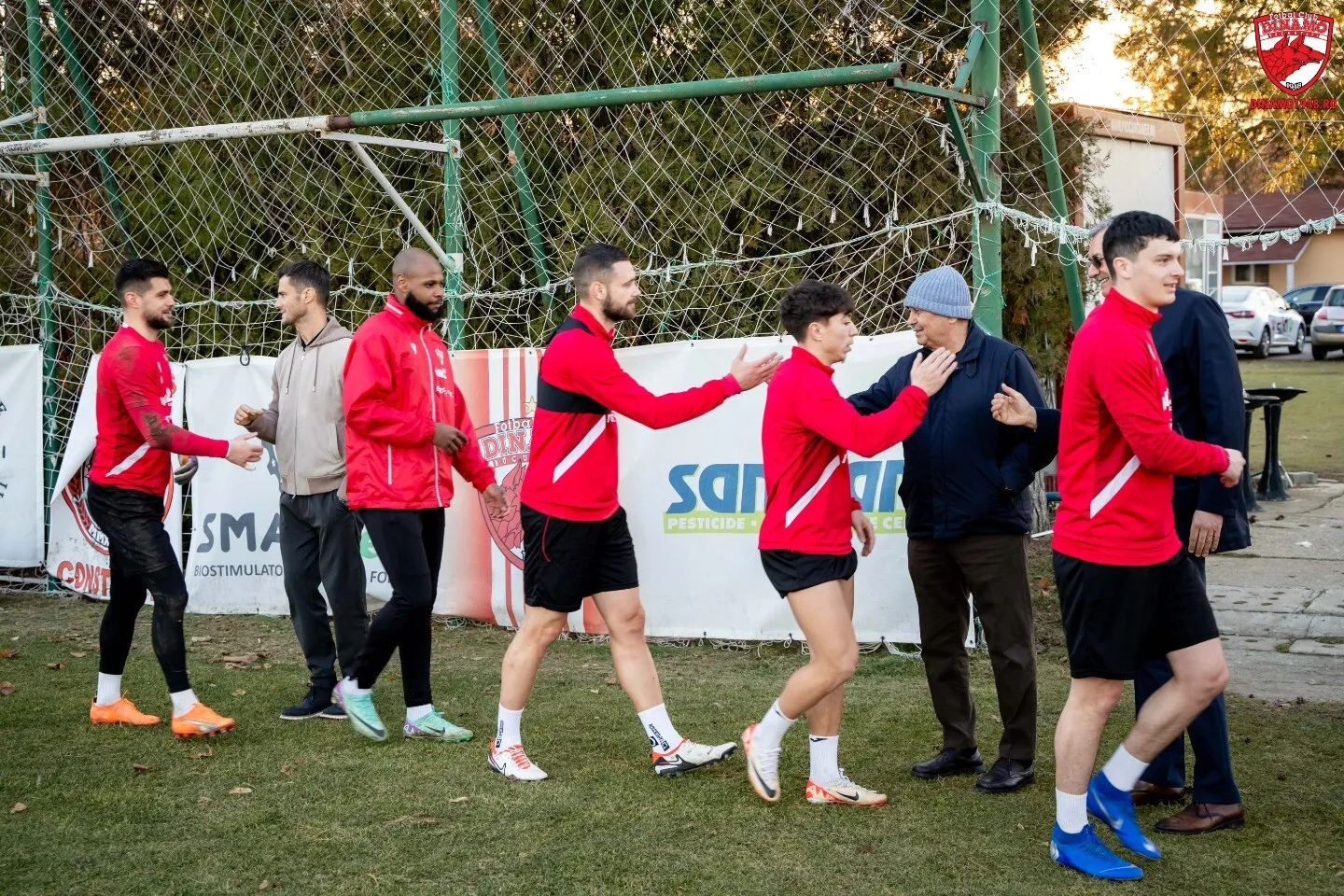 mircea lucescu săftica dinamo mircea lucescu săftica dinamo