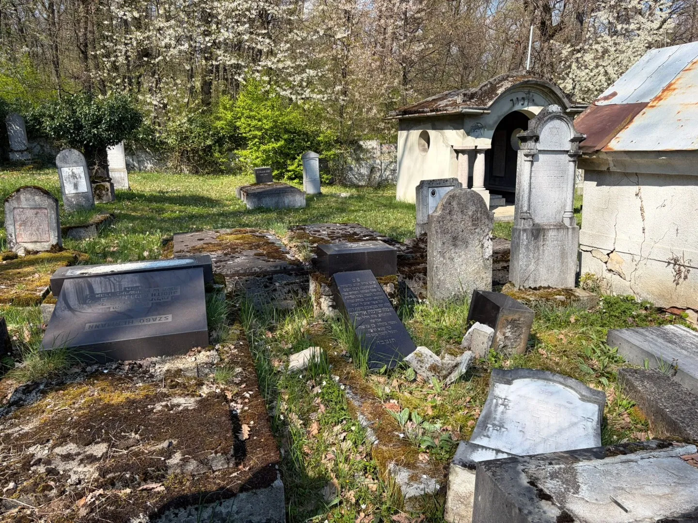 FOTO Scene șocante la Cimitirul Evreiesc din Reghin: Monumente funerare, vandalizate de persoane necunoscute