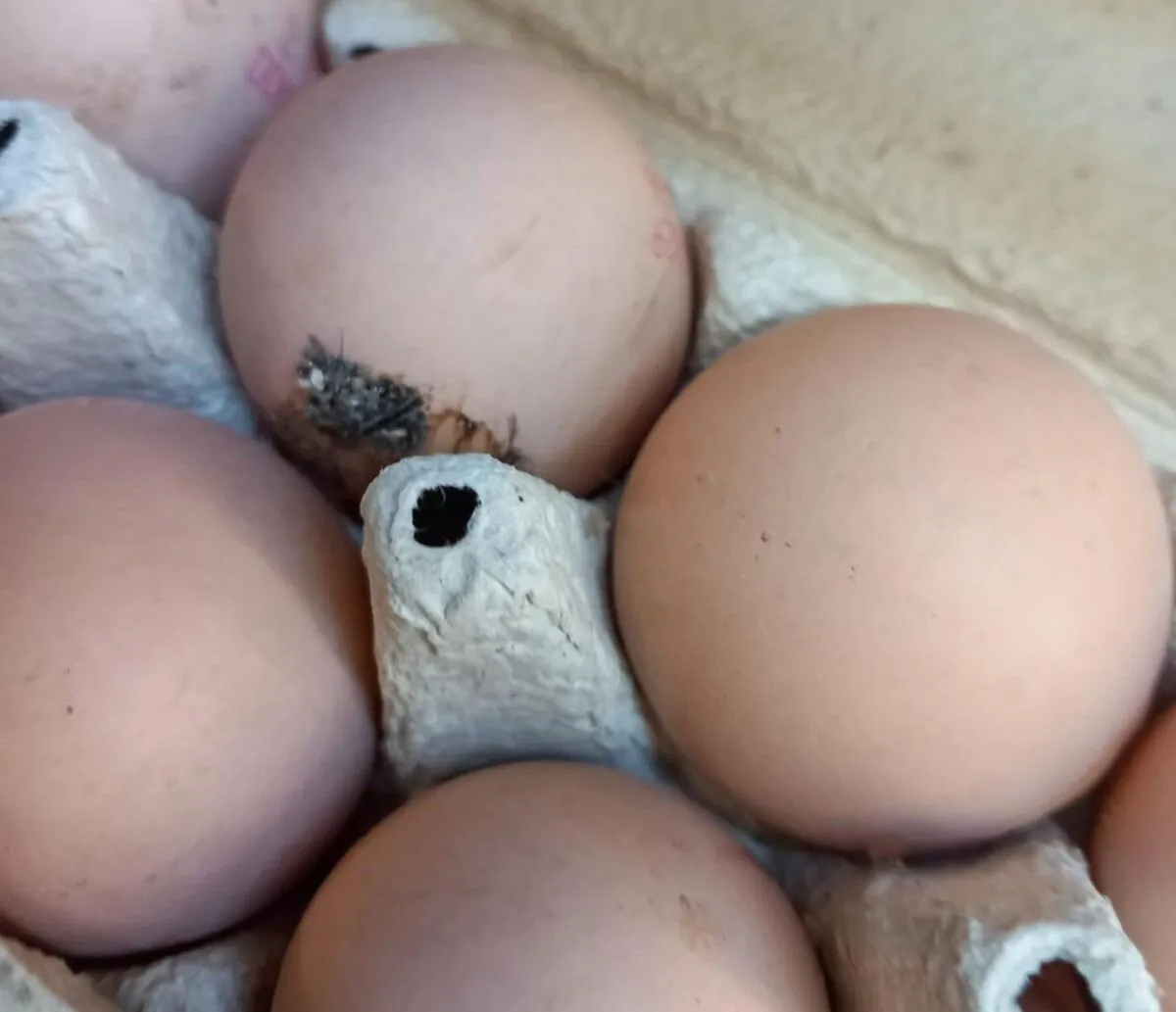 FOTO ANPC a luat cu asalt operatorii economici înainte de Paște: nereguli grave și amenzi de 6,3 milioane lei