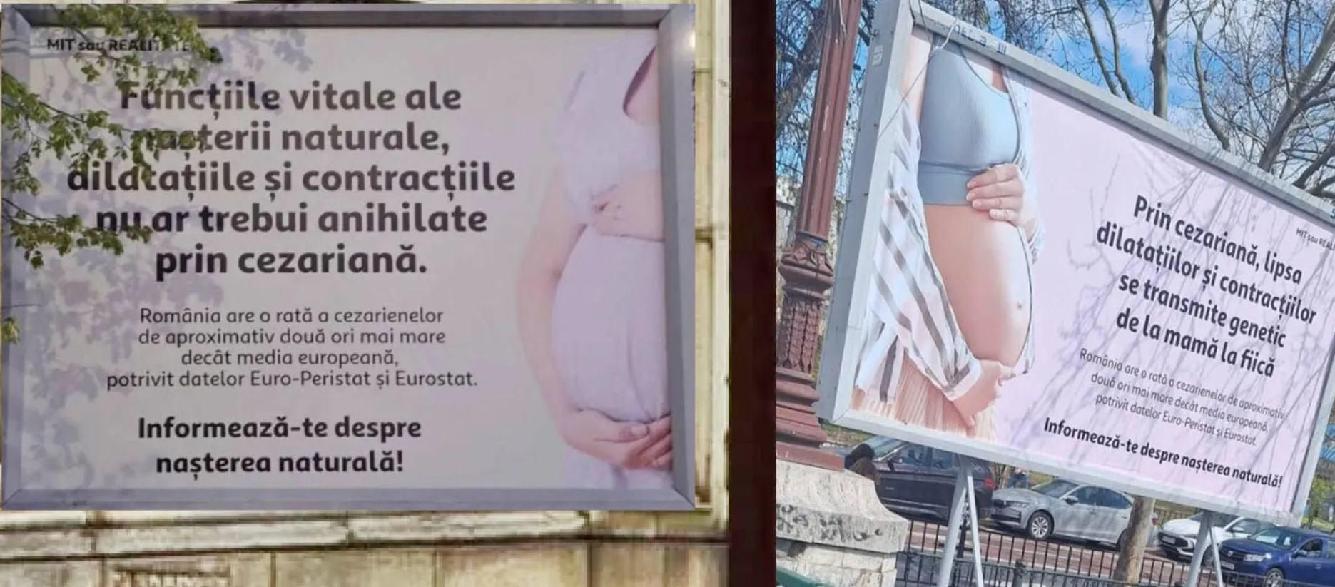 „Sincer, mi se pare o nebunie” - Senatoare care a născut prin cezariană, revoltată de panourile apărute în București