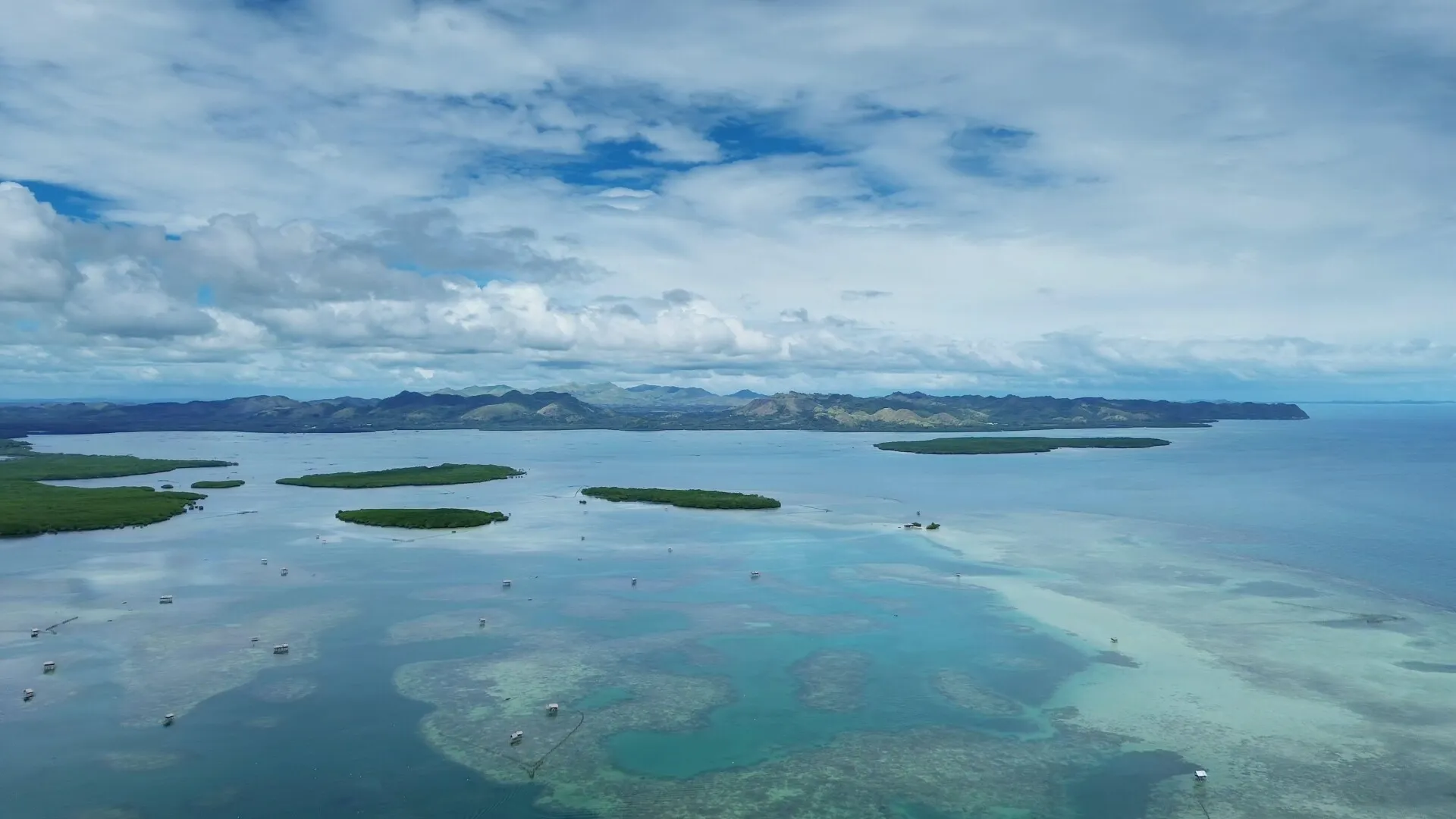 Se distruge unul dintre sectoarele care au pus România pe harta lumii: În perioada comunistă, țara noastră era unul dintre marii producători