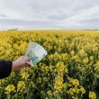 Article thumbnail