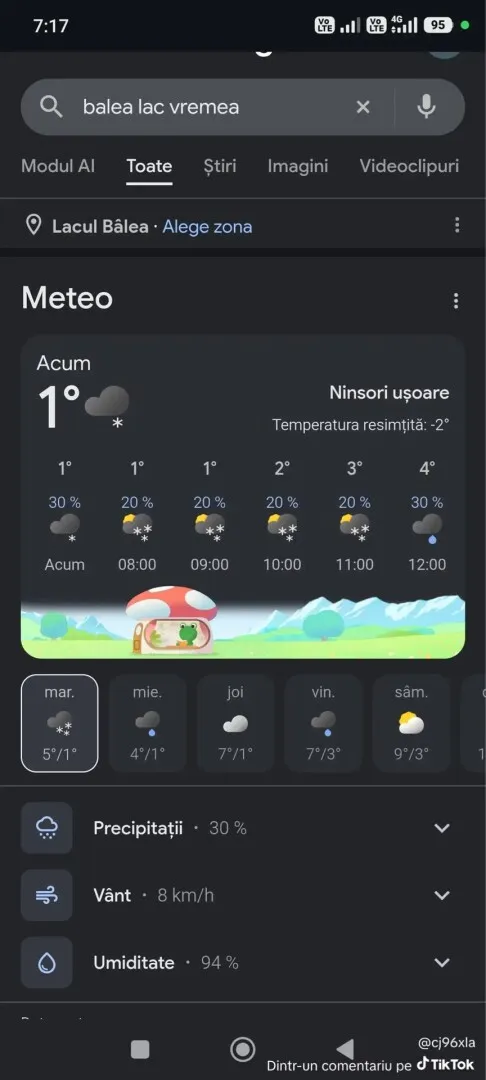 ninsoare ninsoare