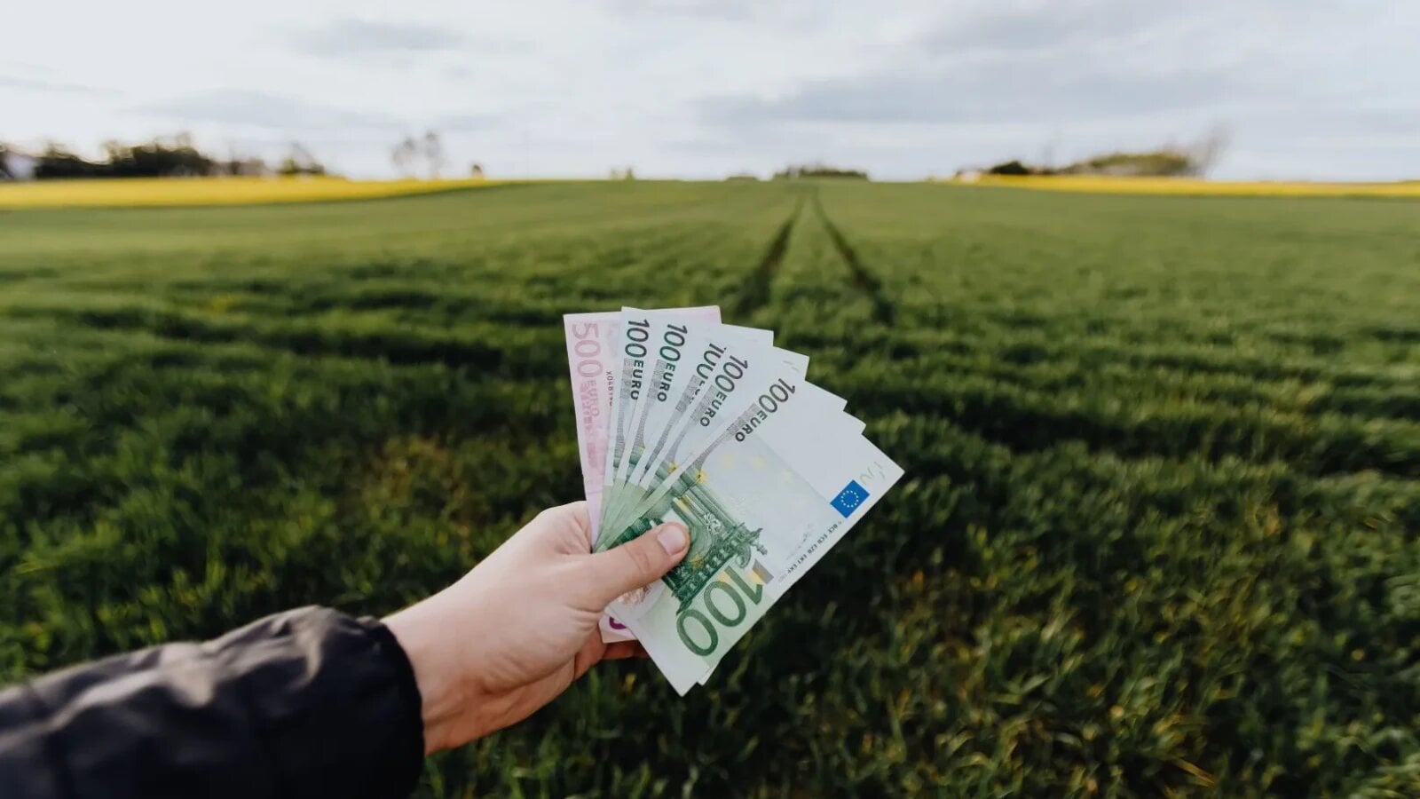 Avansul APIA bate la ușă: Fermierii ar putea primi primele subvenții din 16 octombrie
