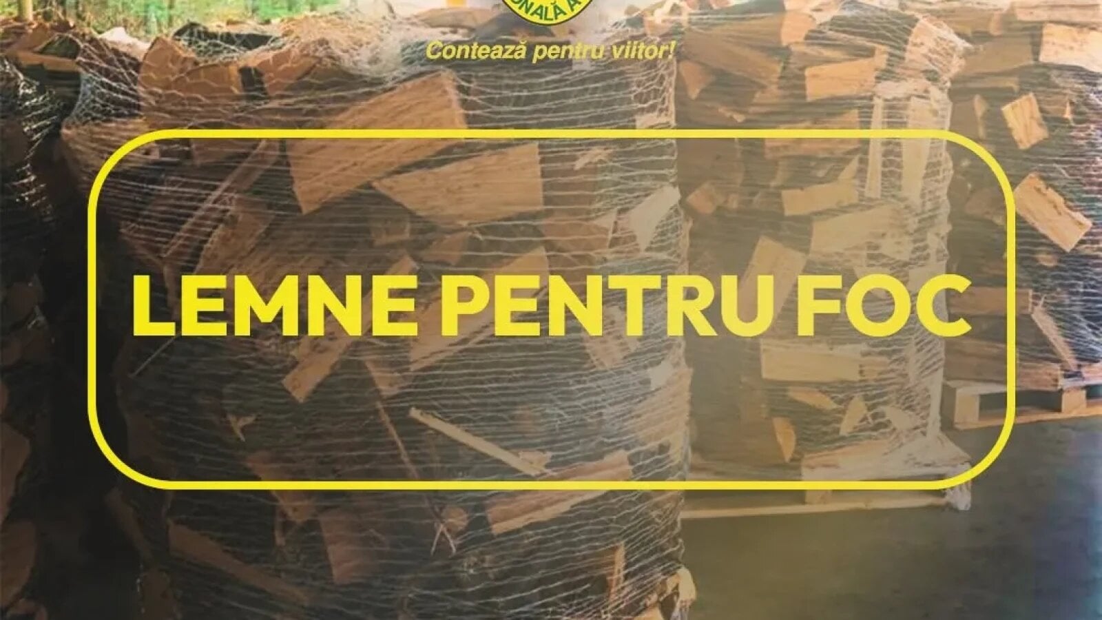 Romsilva pune la dispoziția populației aproximativ 2 milioane de metri cubi de lemn pentru foc în 2026, la prețuri similare celor de anul trecut
