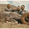 Article thumbnail